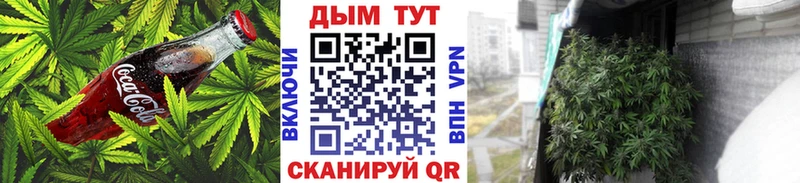 OMG вход  Суровикино  Cannafood конопля 