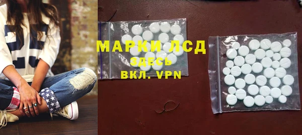 apvp Алзамай