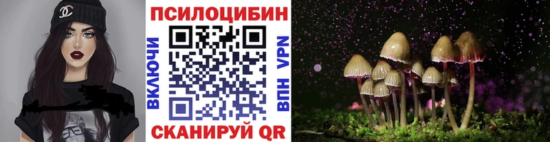 Псилоцибиновые грибы Cubensis  Суровикино 